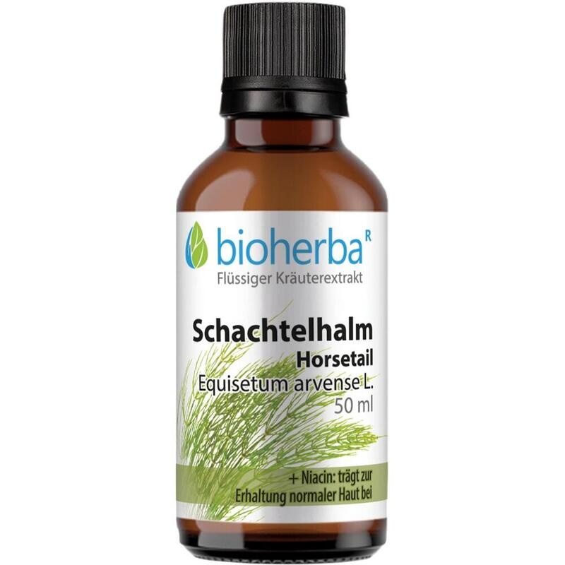 SCHACHTELHALM HORSETAIL Tinktur